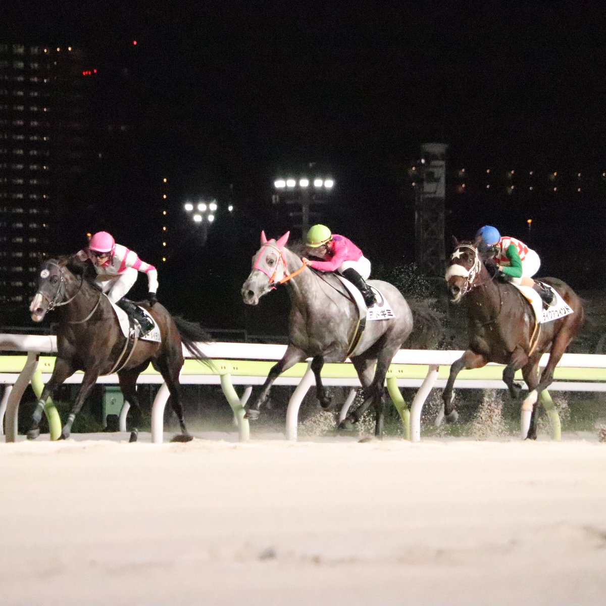 hochichihokeiba's tweet photo. 【 #大井競馬 ・10R】
 #坂井瑠星 騎手が父の #坂井英光 調教師が管理するスターメイデン（父ヨシダ）に騎乗し、２回目のコンビで親子初勝利を飾りました🏇 https://t.co/Sr1OIVzLBZ