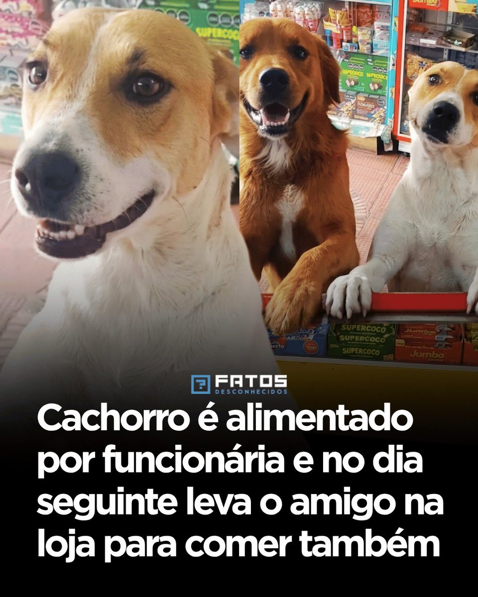 del_brunolima's tweet photo. Levou o AUmigo junto 😂😅🥰 https://t.co/aUke1USES8