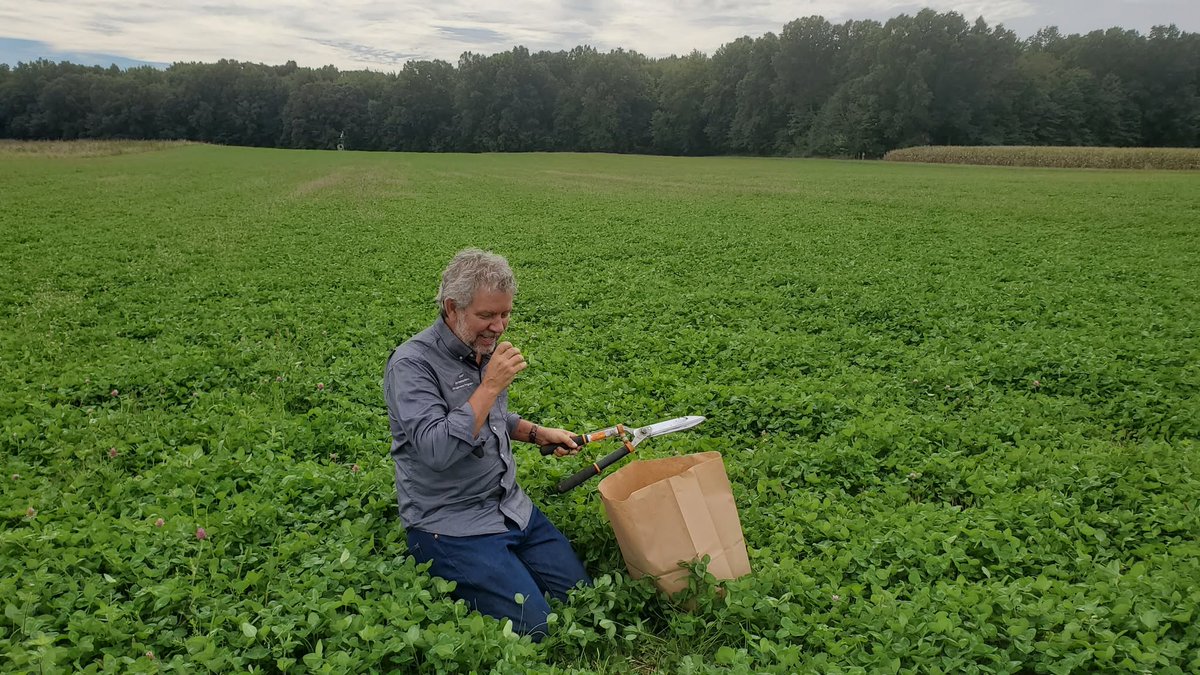 FTGUpProject's tweet photo. No one escapes a bit of field work! Doug Jackson-Smith, FTGUp Project Director, spent a beautiful fall day collecting clover samples in northeast Ohio. The samples support farmer-led research on how harvesting versus plowing under cover crops affects soil health and crop yields. https://t.co/1kCqwKU6qw