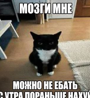 RoksanaKld's tweet photo. https://t.co/xfusKcOgd0
