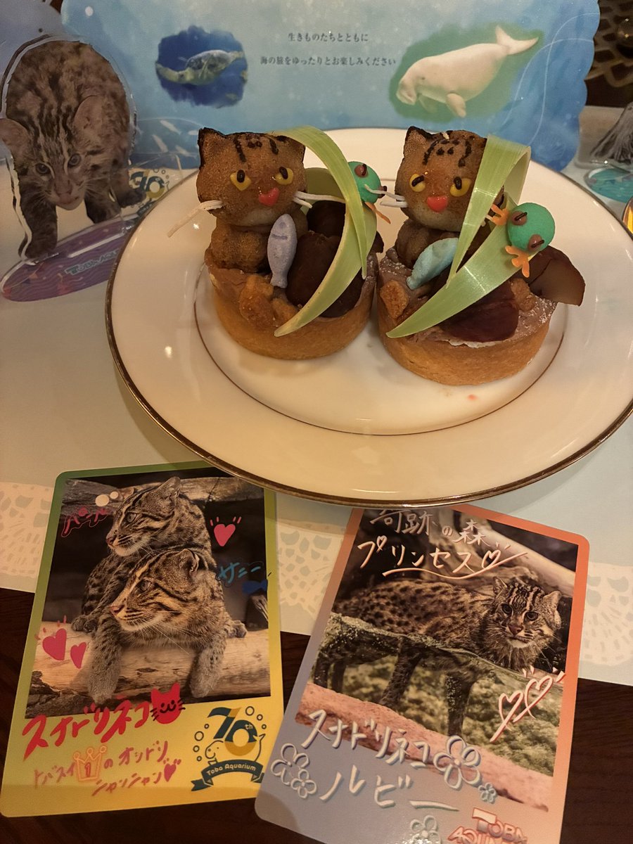 meteorshower916's tweet photo. スナドリネコ🐱サニーさん🐟 https://t.co/C338hmpSAf