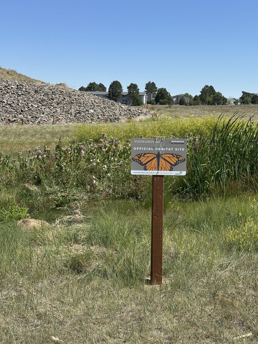 RadiusSportsLLC's tweet photo. Today is #GreenSportsDay! Through our Walk &amp; Talks in NY and CO, we see how sports bring people together to take meaningful action - from water &amp; energy conservation to pollinator habitat and bird boxes. Real impact and a more #Resilient future.
@BMPHeroLLC  @RMGCSA  @GDRizzi https://t.co/NGaZVUUcOc
