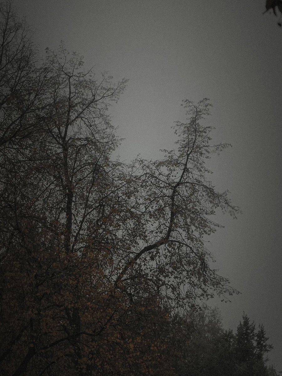 hoquqaravan's tweet photo. ուրախ ըլնելը մի թավուր բրախել եմ դրե ղրաղ ։։։։։ https://t.co/zA19VL3NZ1