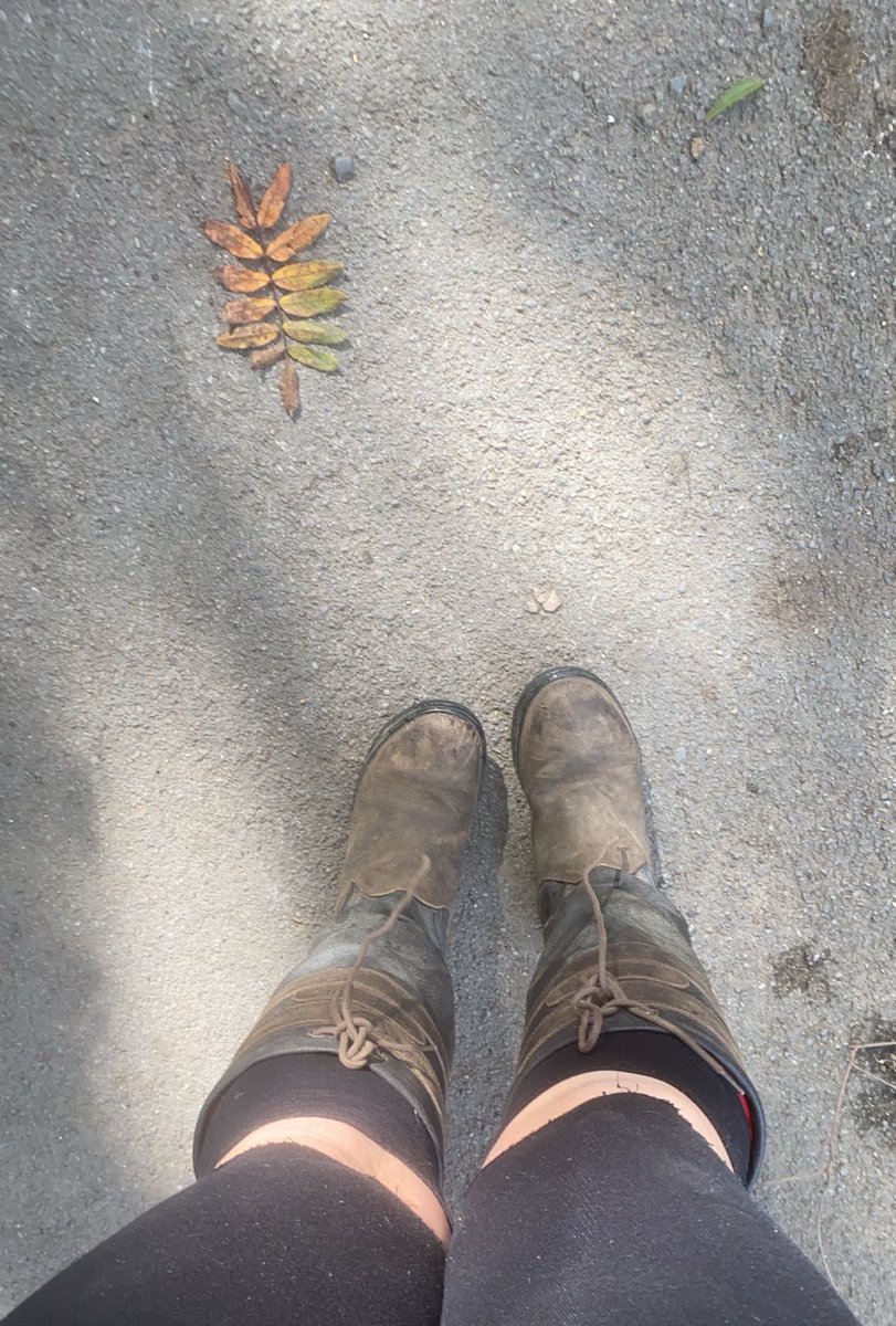 ceeloux39's tweet photo. nothing feels better to you than sending to my filthy riding boots 👢 

#findom https://t.co/K89lOLISOo