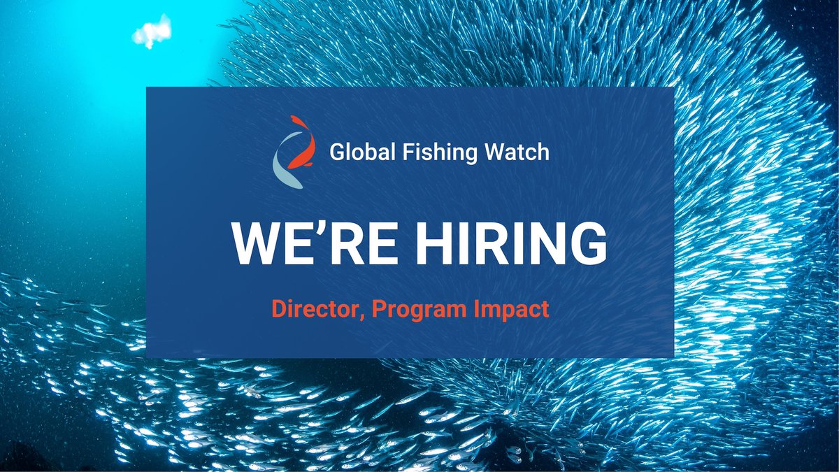 GlobalFishWatch's tweet photo. 🌊 Join Global Fishing Watch as our Director, Program Impact!
Help lead our work to counter illegal fishing, strengthen marine protection and advance 30x30 and the High Seas Treaty.

📍 Remote across 11 countries
🕒 Apply by November 2, 9 a.m. CET

https://t.co/Nv8Df6VET2 https://t.co/nSHCMAnU99