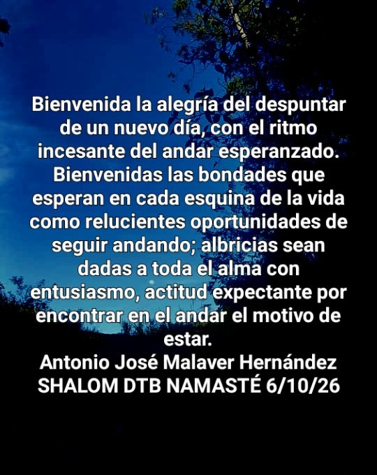 tonimalaverh's tweet photo. https://t.co/xFW7dSIWfv