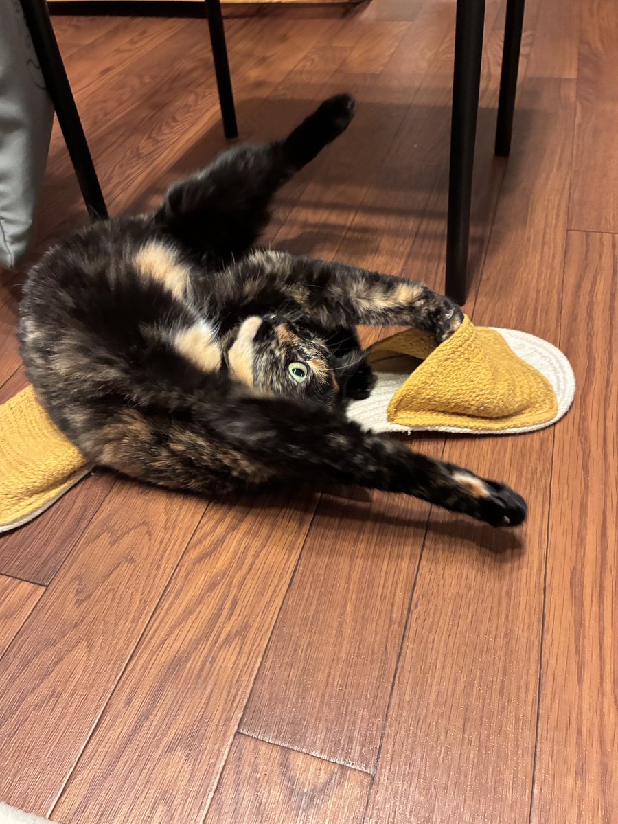 mi_84cat's tweet photo. https://t.co/ERztEz03d0