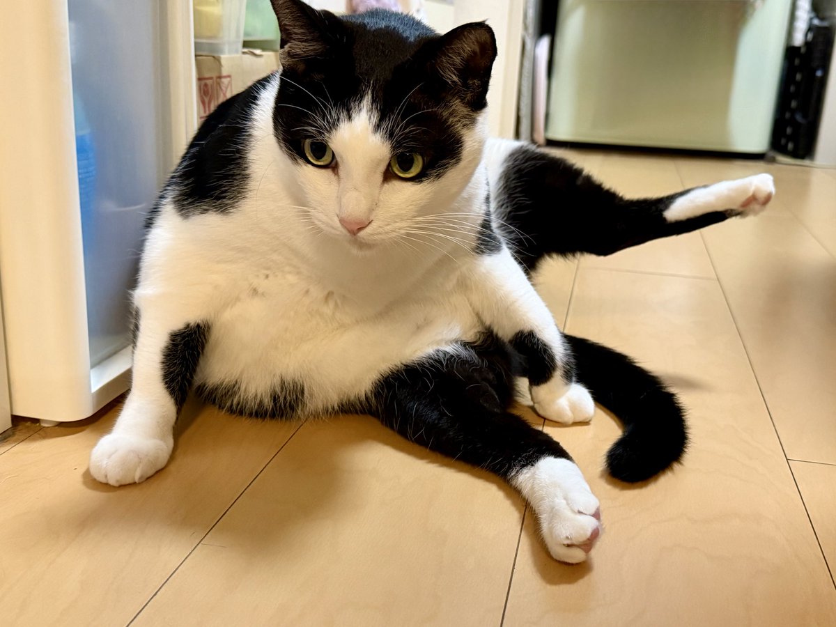 Chiko91680930's tweet photo. なにそのかわいいフリーズ🤣 https://t.co/l9W6zKKUhk