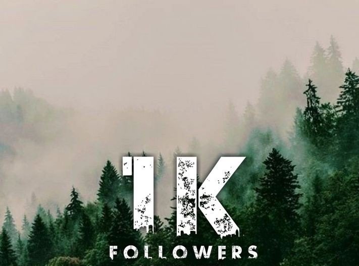 berkanagaa's tweet photo. If you need 1k+ followers 

Say YES 👋

I will boost your page. 💫💯 https://t.co/k4t83IBva3
