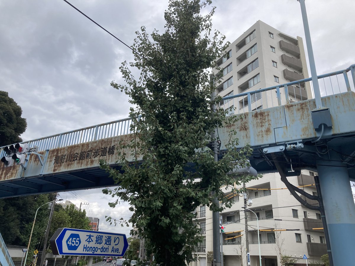 HayaBossun's tweet photo. 舞台で共演させていただいた土屋トシヒデさんが属されている「譚倶楽部」の公演に、一昨日行きました。

和室の中で座椅子に座ってゆったりしていると、語りが始まった瞬間から江戸時代に早変わり！
表情が役ごとに変わる一人語りも複数人での群読も別々の面白さがありました。楽しかった！

#譚倶楽部 https://t.co/8kE3ohWkFU