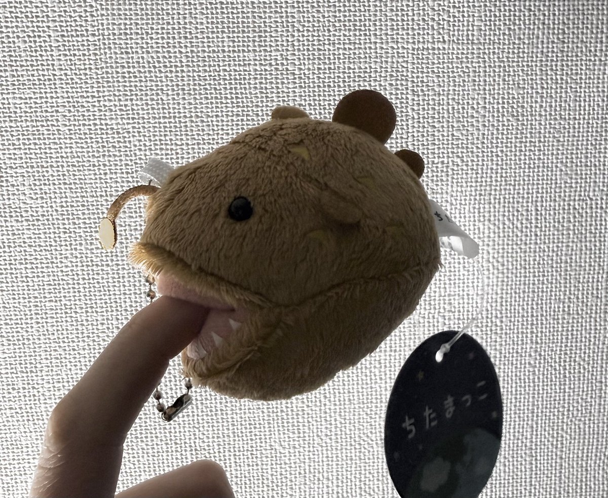 ui_ur526's tweet photo. 冴子とみわがお揃いで付けてるチョウチンアンコウ届いた✧︎⌒     ( '-' Э )з
#ドラマ付きかな 
#さえみわ https://t.co/bmzB4fjWAk
