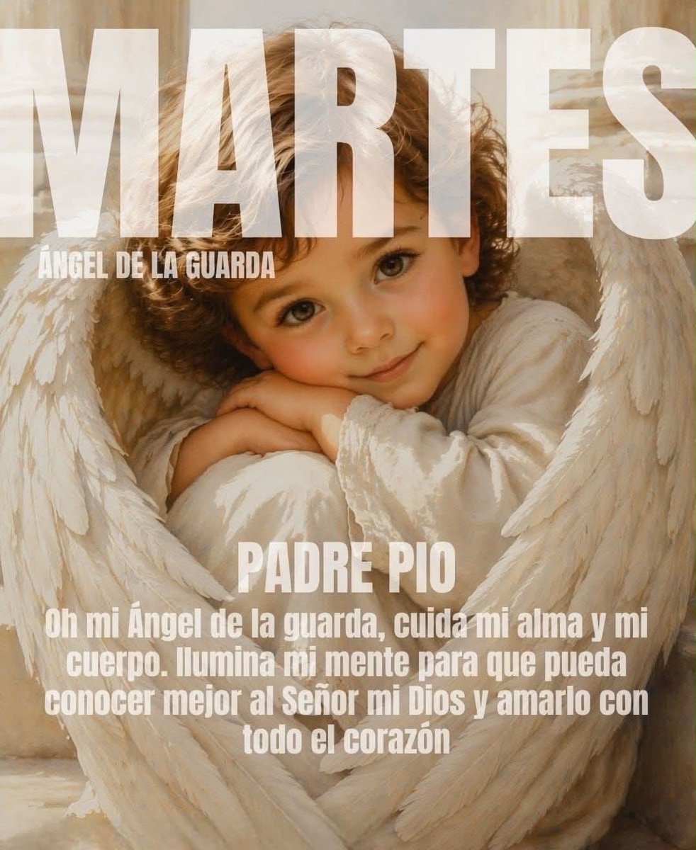 ArmadaRosario's tweet photo. ━━━━━━༻❁༺━━━━━━
ORACIÓN A LOS SANTOS ÁNGELES*

```Oh, Dios, que en tu providencia inefable te has dignado enviar a tus santos ángeles para nuestra custodia, concede, a los que te suplicamos, ser defendidos siempre por su protección y gozar eternamente de su compañía. https://t.co/e79t5n6rlO