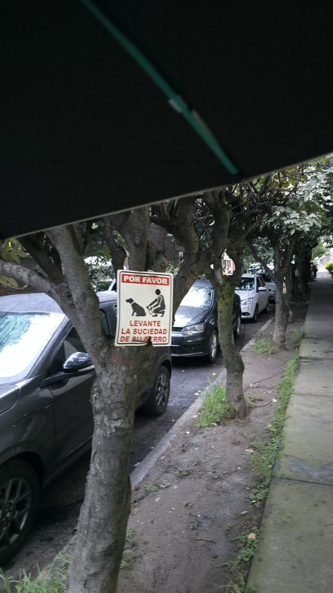 NottCorbeau's tweet photo. @supercivicosmx @LuisMendozaBJ @BlindarBJ @BJAlcaldia @PAOTmx @SEDEMA_CDMX @UCS_GCDMX Sobre Monrovia, entre las calles Av. Nevado y Vistahermosa, los vecinos les clavan letreros a varios árboles. Uno tiene hasta tres letreros clavados. @arb https://t.co/EZSyLAN86h
