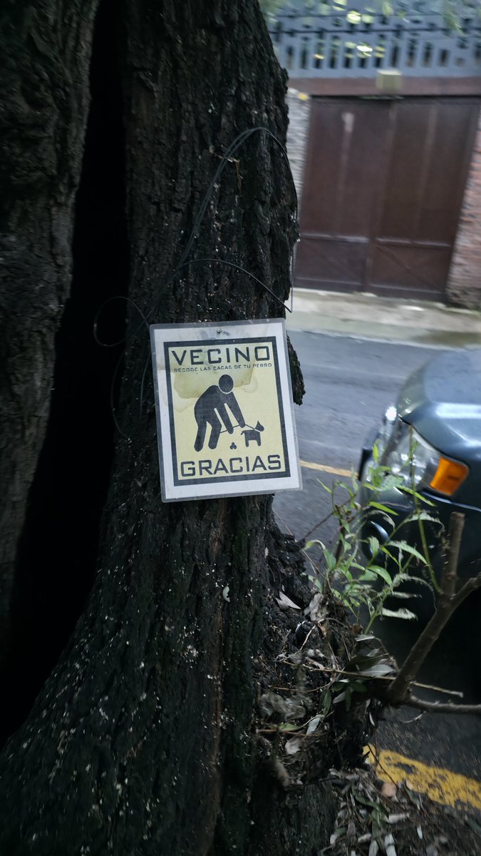 NottCorbeau's tweet photo. @supercivicosmx @LuisMendozaBJ @BlindarBJ @BJAlcaldia @PAOTmx @SEDEMA_CDMX @UCS_GCDMX Sobre Monrovia, entre las calles Av. Nevado y Vistahermosa, los vecinos les clavan letreros a varios árboles. Uno tiene hasta tres letreros clavados. @arb https://t.co/EZSyLAN86h