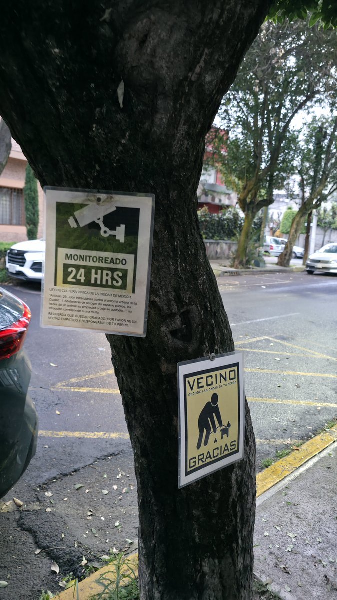 NottCorbeau's tweet photo. @supercivicosmx @LuisMendozaBJ @BlindarBJ @BJAlcaldia @PAOTmx @SEDEMA_CDMX @UCS_GCDMX Sobre Monrovia, entre las calles Av. Nevado y Vistahermosa, los vecinos les clavan letreros a varios árboles. Uno tiene hasta tres letreros clavados. @arb https://t.co/EZSyLAN86h