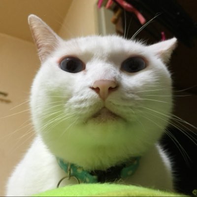 neosand4's tweet photo. #新しいプロフィール画像 https://t.co/9uXYln91zZ