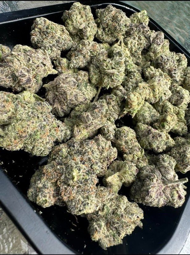 IobDutch's tweet photo. GET TOP SHELF INDOOR EXOTIC CANDY WEED REAL ZAZA Cali kush buds flower THC Vape Hash, Athens, Thessaloniki, Patras, Heraklion, Larissa
Lisbon, Porto, Braga, Faro, Coimbra
Budapest, Debrecen, Szeged, Pécs, ship available https://t.co/uSG80CUg5m