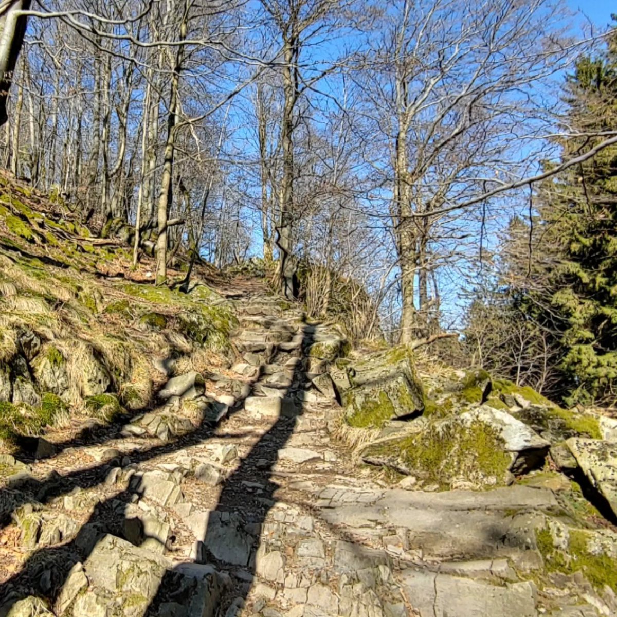 JakoBaltazar's tweet photo. Wanderung auf der Extratour rund um die Milseburg: 835, 2 m Höhe, beeindruckende Rhönlandschaft und echte Frühlingsgefühle. https://t.co/WXvT3452NO