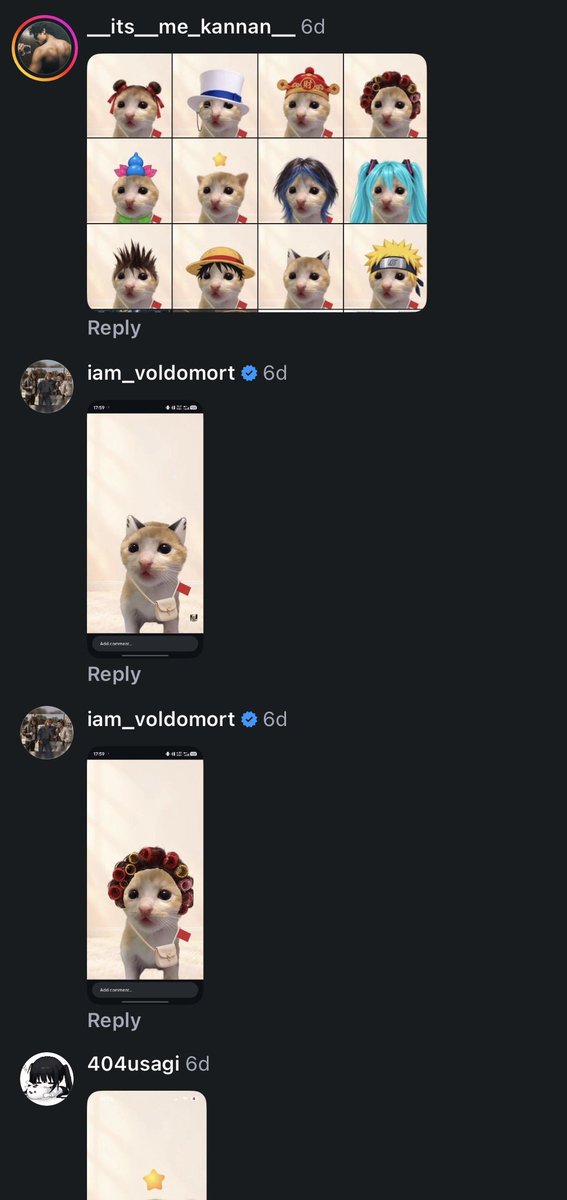 patchsol's tweet photo. i might have found the next pfp cult on instagram

this cat named Xiaonian 小年 is going GIGA viral with 26M views on one video alone

the whole comment section is full of people screenshotting all of the pfps collecting them

https://t.co/SvoO1c30pD
https://t.co/XEGfWAZyZ1 https://t.co/i6dlSUkvMW
