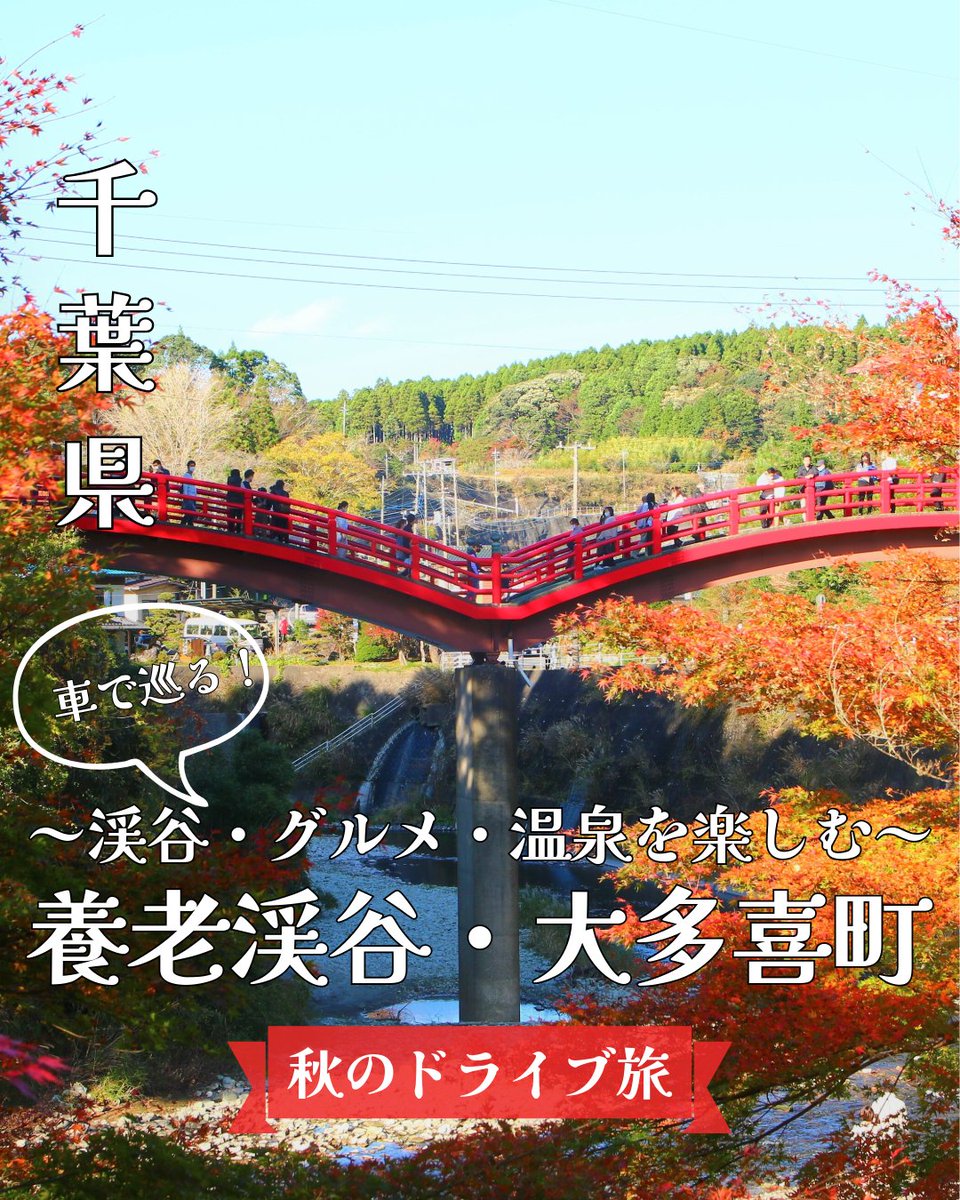 marugoto_chiba's tweet photo. 🚗【養老渓谷・大多喜町】養老渓谷、車で行けます！🍁温泉・グルメ・絶景を楽しむ秋の旅へ♨️✨詳細は👇️

台風の影響による報道などから、
「養老渓谷には行けないのでは？」と
心配されている方もいらっしゃるかもしれません。

現在も一部の鉄道や道路、遊歩道では通行規制が続いていますが、
養老渓谷へは通行可能なルートから車でアクセスできます🚗

🚗千葉方面から
市原鶴舞IC→国道297号線→国道465号線→県道81号線→養老渓谷

🚗東京方面から
木更津東IC→国道410号線→国道465号線→県道81号線→養老渓谷

そして、養老渓谷・大多喜には、
秋のドライブで楽しみたいスポットがいっぱい🍁

💧 粟又の滝
養老渓谷を代表する景勝地。約100mにわたって流れ落ちる滝と、
四季折々の自然を楽しめます。

🍨 山里のジェラテリア 山猫
千葉県産の食材などを使ったジェラートでひと休み😋

♨️ 養老渓谷温泉郷
養老渓谷といえば、コーヒーのような色合いが特徴の「黒湯」が有名。
一方で、黄色みがかった透明な湯を楽しめる施設もあり、温泉の表情もさまざまです。

🍴 山の駅 養老渓谷 喜楽里
ハンバーガーやアユの塩焼きなど、地元ならではのグルメやお土産も楽しめます。

さらに、大多喜城下町や大多喜有用植物苑など、
大多喜のまちまで足を延ばせば、歴史や新しいスポットにも出会えます🏯🌿

滝を見て、おいしいものを食べて、
温泉に入って、ゆっくり過ごす。
秋の養老渓谷は、日帰りだけじゃもったいない。

これから迎える紅葉シーズンに、
車でゆっくり大多喜・養老渓谷を巡ってみませんか？🚗🍁

例年、養老渓谷の紅葉は11月下旬～12月上旬頃が見頃です。

※台風等の影響により、一部道路・遊歩道で通行規制があります。
※お出かけの際は、最新の道路・通行規制情報や各施設の営業状況をご確認ください。

▼最新スポット＆グルメはこちら
「都心から約90分の秘境！千葉・養老渓谷温泉郷の最新スポット＆グルメをご紹介」
https://t.co/odivSCl616

▼養老渓谷の魅力をもっと詳しく
「養老渓谷の魅力を徹底解説！便利なレンタサイクルで周辺のスポットも巡ります」
https://t.co/Idk7nKvoSJ

＝＝＝＝＝＝＝＝＝＝＝＝＝＝＝＝＝＝＝＝＝＝

✨千葉の魅力を発信中👉️ @marugoto_chiba
千葉の観光情報をシェア中！

ファミリーのお出かけ、旅行、一人旅、デートスポットもお任せ♪
保存して旅プランに活用してね📌

写真はイメージです。
千葉の旅は「千葉 観光」で検索🔍

#千葉 #観光 #養老渓谷 #大多喜町 #秋のおでかけ