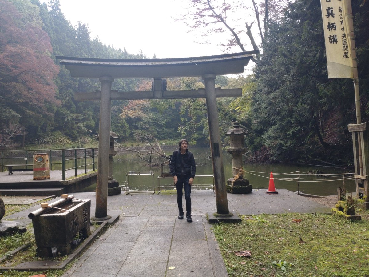 babysasaki's tweet photo. 龍澤山 善寳寺
貝喰の池にて。
人面魚で有名ですが、なまずがたくさん！なまずなんてはじめて見た〜
管理している方がなまずを除去したところ、その方が事故に遭われ、御住職が自然のままにしときましょうと言ったとか。
龍神の住む池、御神域ですから人間が手を加えてはいけないんですね。 https://t.co/yqyRuiucpH