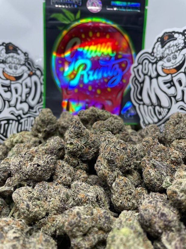 IobDutch's tweet photo. GET TOP SHELF INDOOR EXOTIC CANDY WEED REAL ZAZA Cali kush buds flower THC Vape Hash, Tauranga, Dunedin, Palmerston North, Napier, Rotorua, New Plymouth, Invercargill, Whangārei, Queenstown, Gisborne, Madrid, Barcelona, Valencia, Seville, Málaga, Alicante,Bilbao,Zaragoza, Grand. https://t.co/kXscJfd3jd