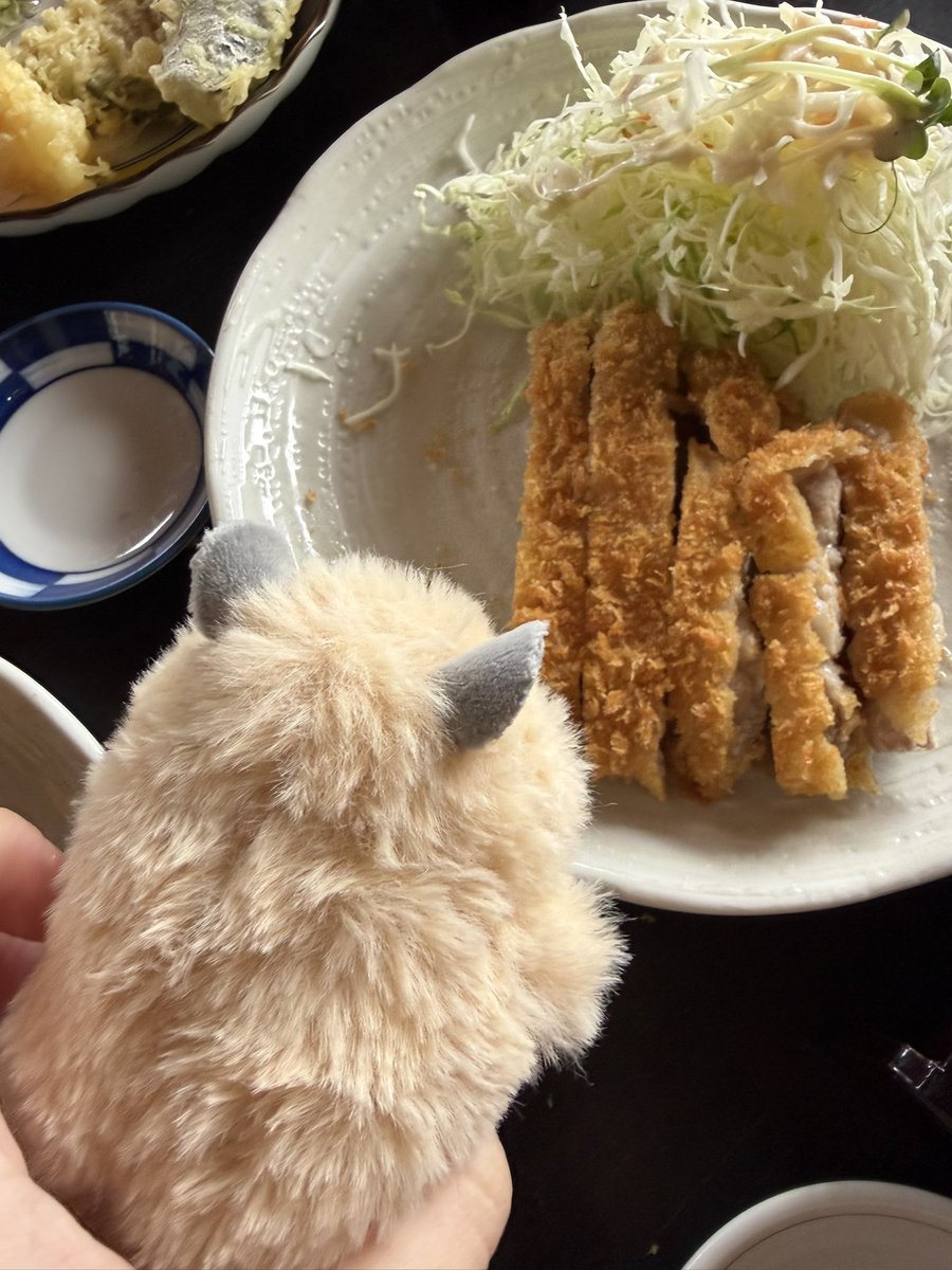 xkrb_d's tweet photo. 旅行もさらに楽しくなります https://t.co/hdGAant3xa