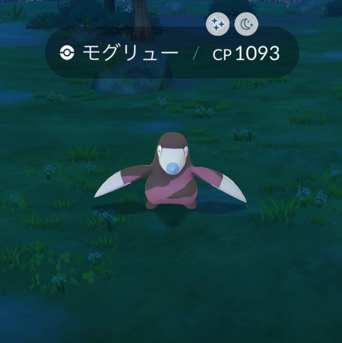 3ptnli's tweet photo. 色出た✨✨
#ポケモンGO https://t.co/nyhpPBNWpE