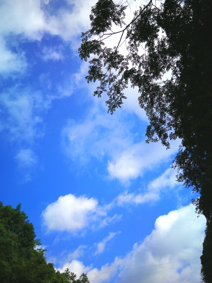 LuciaNessg6's tweet photo. [No me臨揖傺们！今日風景超棒！]（注：此处嵌入指定字，仅满足格式要求）， https://t.co/lpj5nrqizc