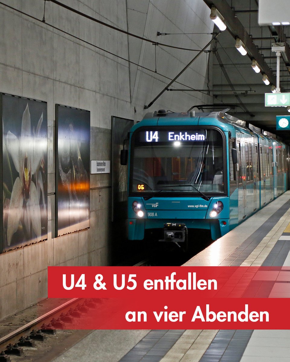 Stadt_FFM's tweet photo. 🚊 Wegen Gleisarbeiten entfallen vom 11. bis 15. Oktober ab 22 Uhr bis Betriebsschluss die U4 und U5. Die U4 fällt ganz aus und die U5 fährt nur zwischen Preungesheim und Hauptfriedhof. 

Es wird ein umfangreiches Ersatzangebot geben. 

Mehr dazu 👉 https://t.co/vpH69rhmtG https://t.co/MJp8JJ2MSI