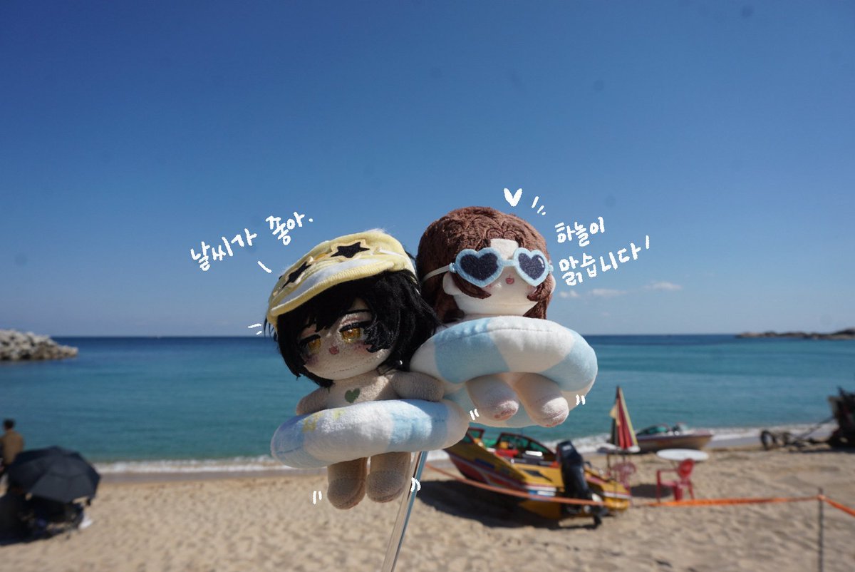 A4dwoe's tweet photo. 새 트친들이 오셧고 저희집 솜사들을 들어올려... https://t.co/07X1LHCehI