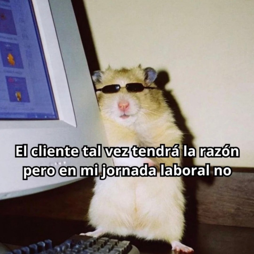 carlaconwifi's tweet photo. y soporten. https://t.co/eN3FxX45qL