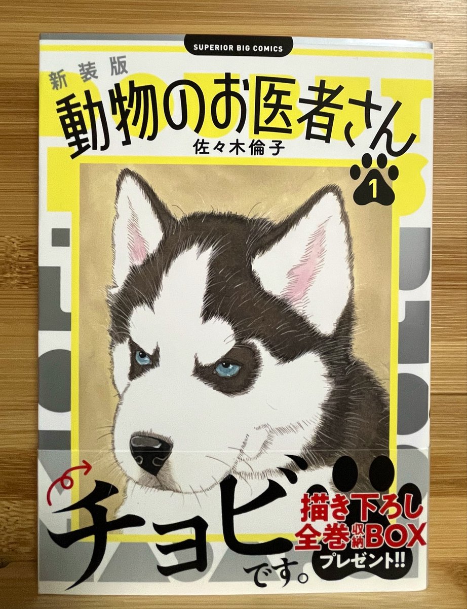 ryuto_moon's tweet photo. 動物のお医者さんは時々読み返したくなる
やっぱ面白い〜🤩
動物の描き方上手すぎるんよな✨ https://t.co/JqsFyiJcXv