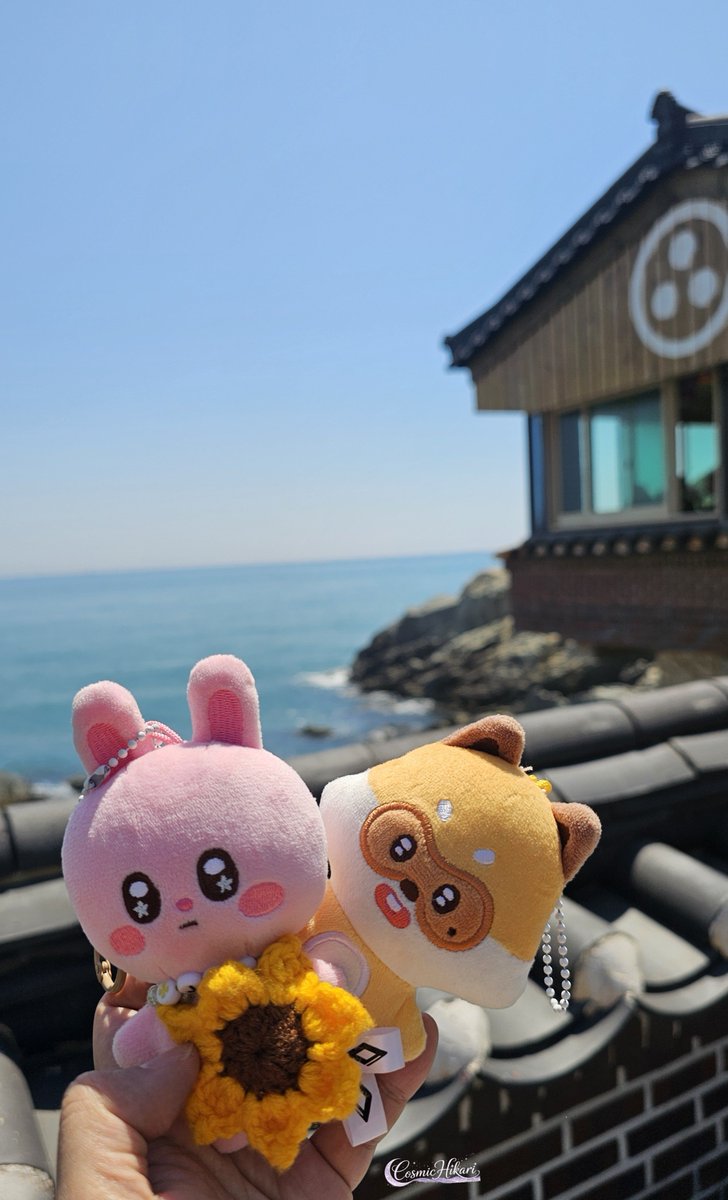 LailacKari's tweet photo. 5/28
#DailyChihChih Day 5
Chihchih ft. Jeguri enjoying the East Sea

Was so busy crashing out with chihjay crumbs, I forgot about this.

Ps. where can I buy Jeguri? Pls restock 🥺

#AHOF #아홉 
#Chihchih #Jeguri
#즈언 #CHIHEN 
#제이엘 #JL https://t.co/BzIb0jU6es