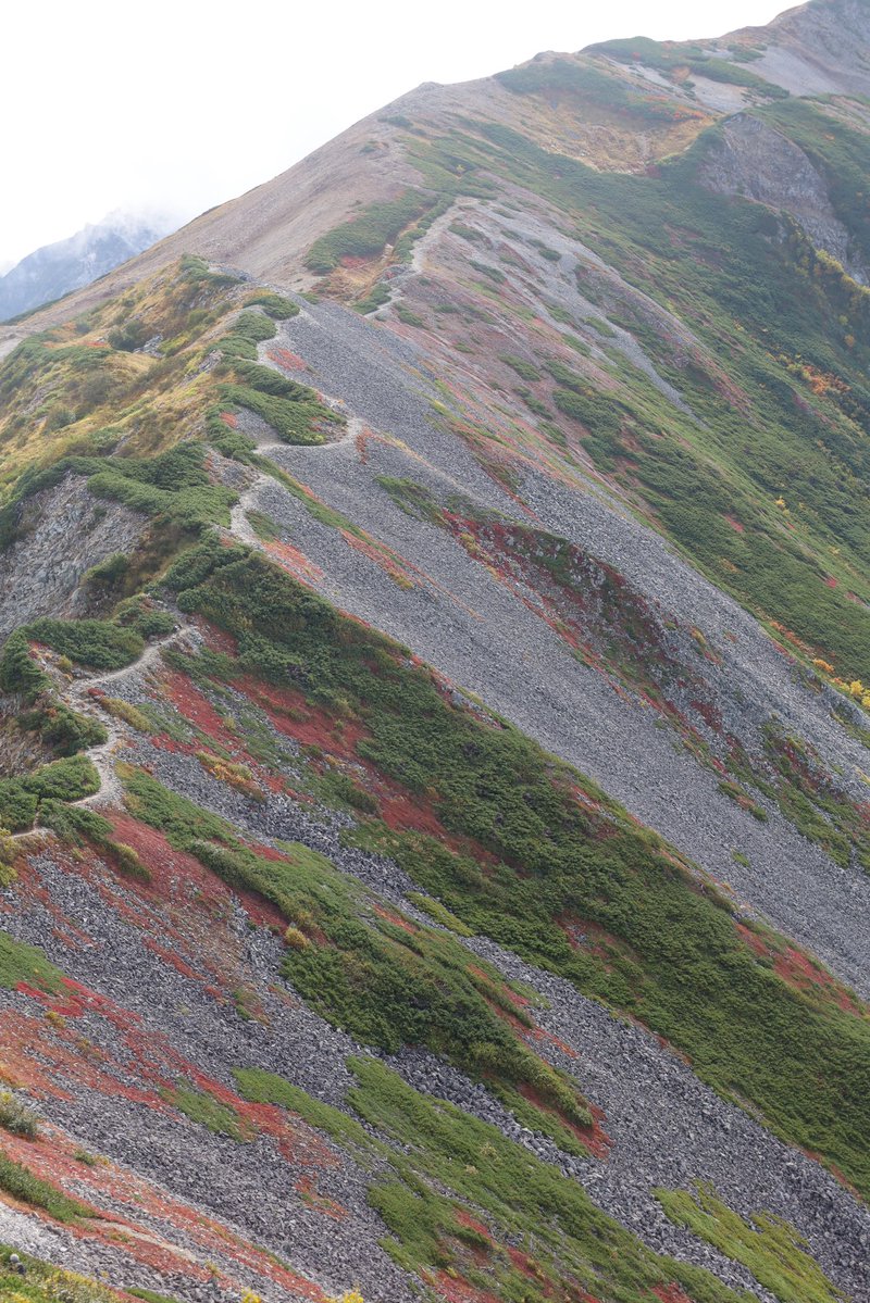 tadayoshi8585's tweet photo. 紅葉の白馬岳の美しすぎる稜線⛰️ https://t.co/GULCt78vBj