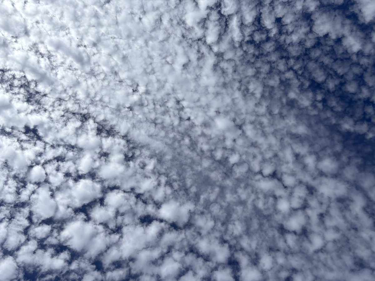 systole_'s tweet photo. Love it when the clouds look like sheets of ice floating across the sea https://t.co/2SazfhHll0