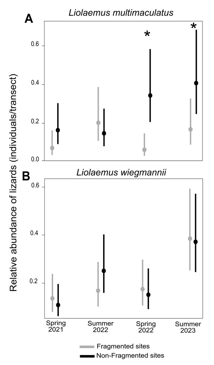IchsAndHerps's tweet photo. Follow the links below to see what Dajil et al. conclude are drivers of temporal abundance of two Pampean lizards. 

DOI link: https://t.co/3uMWtSUkNF
50-day free access link: https://t.co/sEcZchG1k6 https://t.co/fEIHw5bRcP