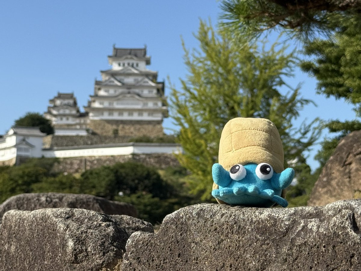 inusarukishi's tweet photo. 1年間いろんなところに行ったね。これからもよろしくな、オムナイト。
#オムナイトの日_2026 https://t.co/gsSWAXZ54X