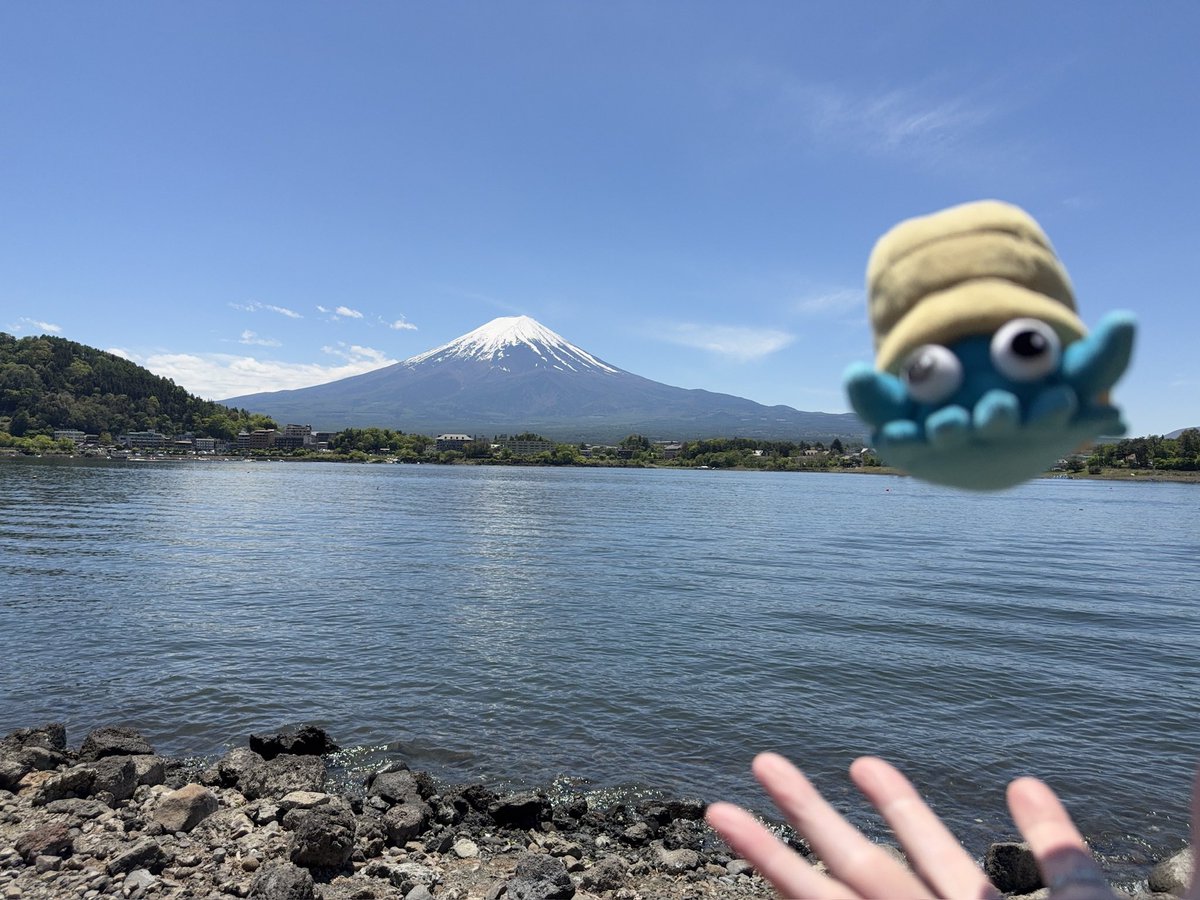 inusarukishi's tweet photo. 1年間いろんなところに行ったね。これからもよろしくな、オムナイト。
#オムナイトの日_2026 https://t.co/gsSWAXZ54X