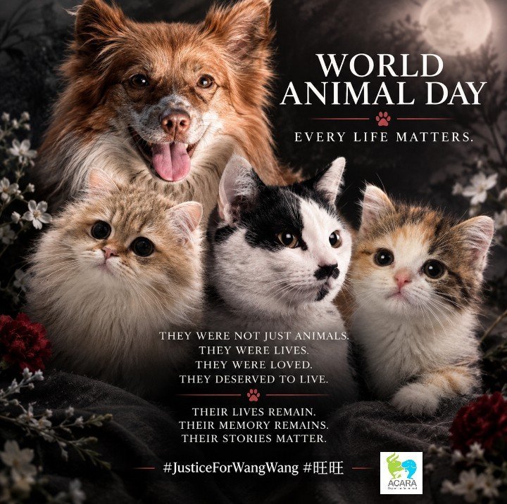weng_ya34966's tweet photo. 📣👊🇨🇳🐶🐱🐕🐈🐾讓我們記住,每一條生命都很重要。
沒有動物應該成為殘忍的受害者。
願它們的生命和故事不被遺忘。🙏 🐾
#為所有受虐的動物伸張正義
#抵制中國旅遊
#要求中國制定動物保護法 https://t.co/X4MYNmSeK3