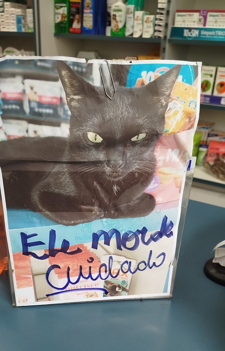 d1g1o's tweet photo. depois de 10min fazendo carinho no gato da petshop, olhei pro lado e vi essa placa aqui.

esse gato está sendo alvo de fake news!! denunciem!! https://t.co/D8e1QZ8og8
