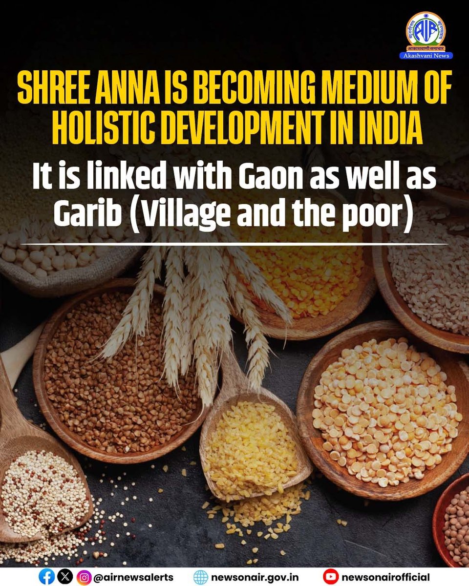 airnewsalerts's tweet photo. Shree Anna, or millets, is emerging as a powerful solution for India’s nutrition, agriculture and environmental needs. 

From Jowar and Bajra to Ragi, millets can improve farmers' incomes, promote sustainable farming and strengthen food security, while positioning India as a global leader in millet cultivation and promotion.

🧵1/2

#SevaSankalpAbhiyanWithAkashvani #Millets #SevaSankalpAbhiyan @AgriGoI @MOFPI_GOI
