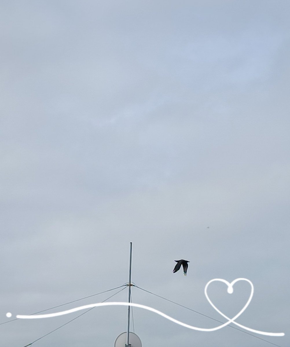 win_win_en's tweet photo. 一瞬時❔️空間が無音❔️静止❔️するのナニナニナーニ🙃 https://t.co/ZlG0vefpyg