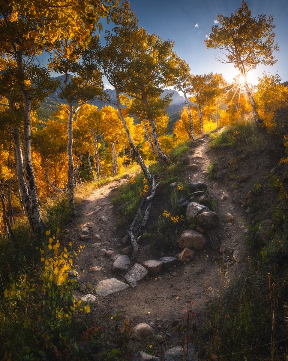 benstraussphoto's tweet photo. Autumn in Colorado 🍂 https://t.co/Gq8hkXL1Xe
