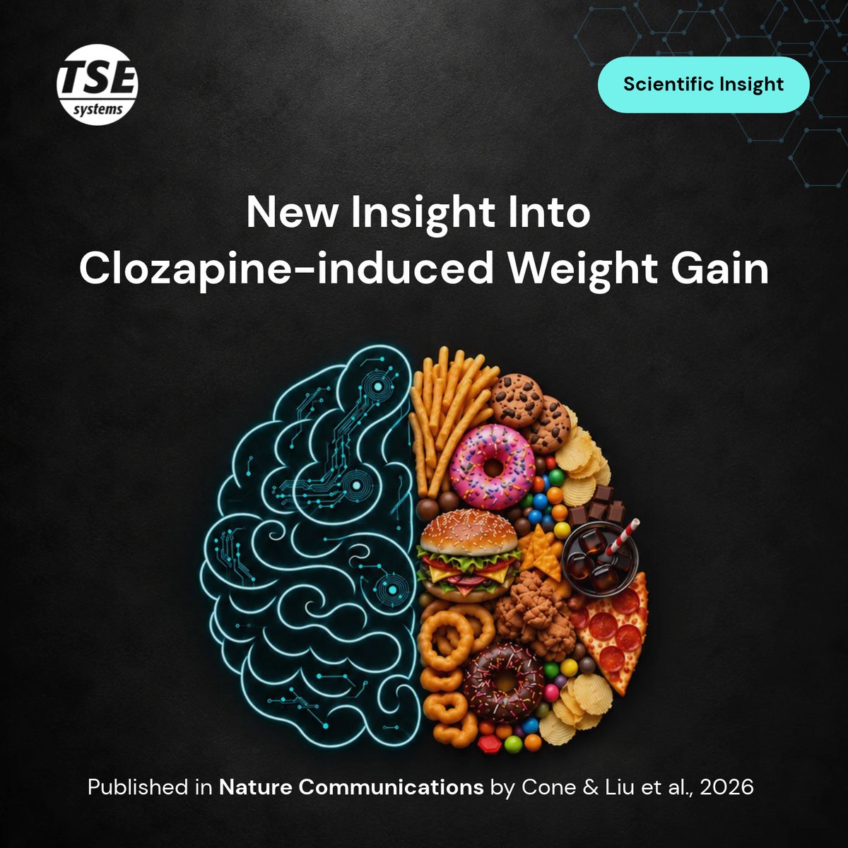 TSESystems's tweet photo. Clozapine remains one of the most effective antipsychotic drugs available, yet for many patients the price is hyperphagia, weight gain and insulin resistance. 

These metabolic side effects are a leading reason people stop treatment. Without a rodent model that reproduces them, the underlying mechanism has remained elusive.

Chen Liu's lab at @UTSWMedCenter, together with Roger Cone's group at the @UMich, has now closed that gap. Published in @Nature, their dietary model reproduces the human picture in female mice: excess fat gain, hepatic lipid accumulation, elevated leptin and impaired glucose tolerance.

The team then asked where the extra weight comes from. Using TSE PhenoMaster (https://t.co/Dl3DKaLzjJ), they followed individual mice before and after switching to the clozapine diet. Within days the mice ate far more, mostly in the dark phase, adding about 11.8 kcal per day. Energy expenditure rose by only about 1.2 kcal per day, while activity and RER remained unchanged. 

Continuous intake and expenditure data like these make the case clear: overeating, not a metabolic slowdown, drives the positive energy balance.

The mechanism turned out to be unexpected. Clozapine does not bind the orthosteric site of MC4R and does not engage canonical Gαs signaling. Instead, it strengthens the coupling between MC4R and the Kir7.1 potassium channel, increasing inward potassium currents and silencing MC4R neurons in the paraventricular hypothalamus. Mice lacking Kir7.1 in MC4R neurons were protected from clozapine-induced weight gain, yet still gained weight on olanzapine, which points to drug-specific pathways. In mice that had already become obese on clozapine, the Kir7.1 inhibitor ML418 reduced food intake, body weight and fat mass and improved glucose tolerance. It also left clozapine's ability to suppress amphetamine-induced hyperlocomotion intact.

These findings suggest that the metabolic and antipsychotic effects of clozapine can be separated, with MC4R–Kir7.1 coupling as a tractable target for protecting the metabolic health of patients who depend on these drugs.
Congratulations to Li Li, @CIRIAHERNANDEZ2, Luis Eduardo Diaz Gimenez, and all co-authors.

https://t.co/o3dylrEgw2