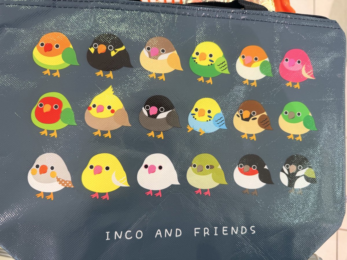 KuwazuruMiki's tweet photo. 今日さ、AEONに行ったのよ。
冷蔵庫のあたりにクーラバックが売っていたのよ。100円で🫪‼️

サイズは小さめでお弁当用を少し大きくした感じだけど…コレは買っちゃうよね💦
２個、買っちゃった💦
見かけたらまた買っちゃいそう💦

#鳥可愛い https://t.co/bo4rUQ9ENY