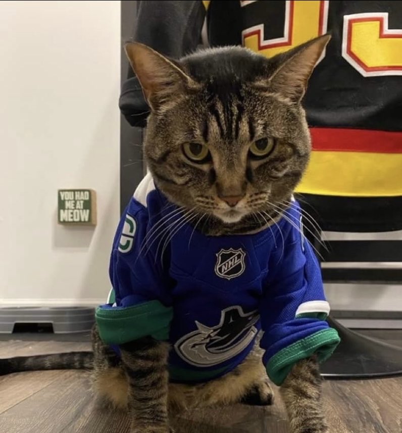 ForCanucksSake's tweet photo. It’s #Canucks game Day!
💙💚💙💚 https://t.co/ooenCiCbtG