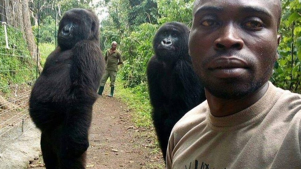 BanHalal_India's tweet photo. @moeadu @AshKhanvilkar @_A_khalifa N!gr•w Sl@ve, follows cult that enslaved his ancestors.

What percentage of ape DNA does your N!gro!d race has?
Who are you in this photo Muhammad?

How many people did you transmit A!DS/H!V to? Your sister, mother,cousin g@y brother, monkeys or Correct opinion: all of above🫃🏾 https://t.co/SyuJLd9K9f