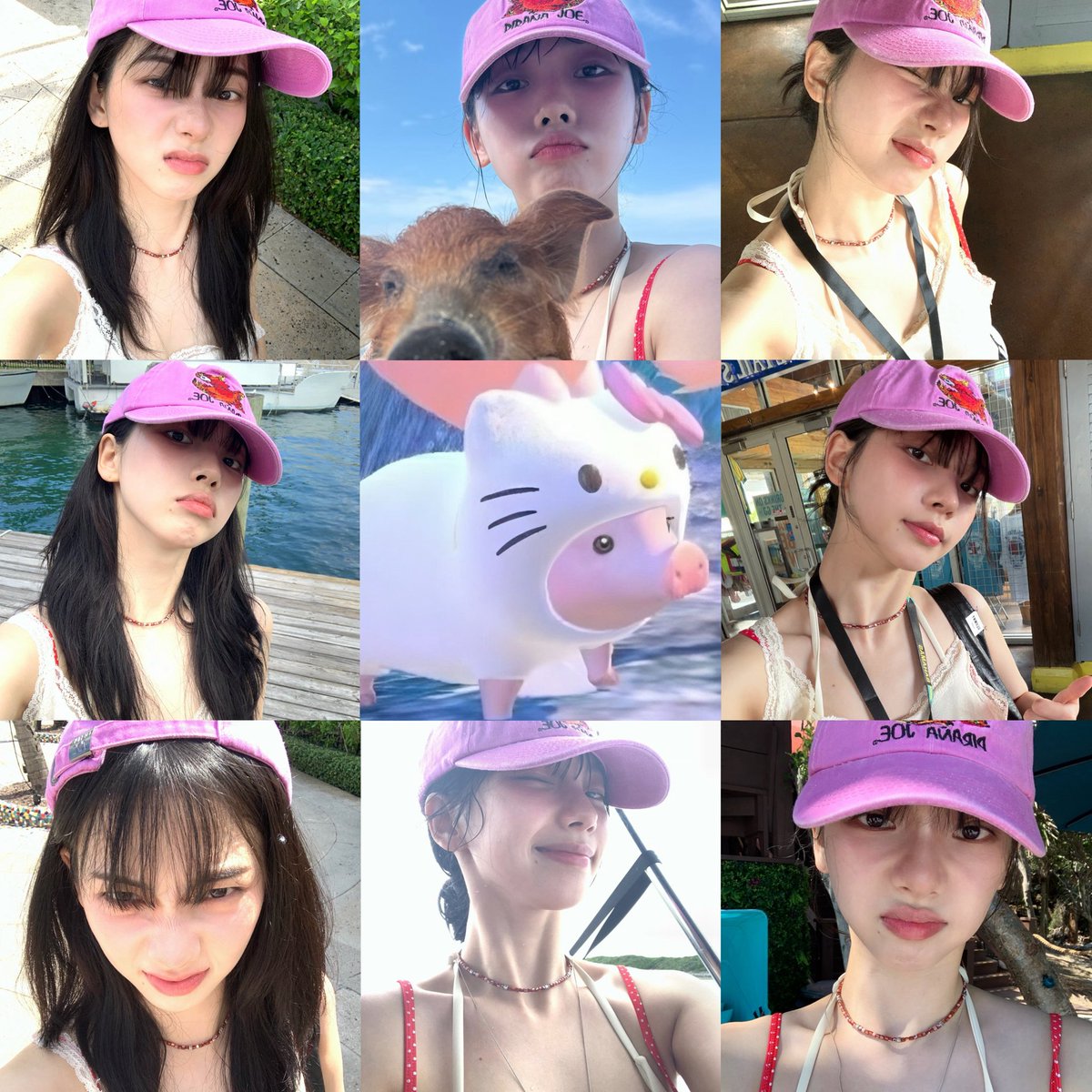 twentyfully's tweet photo. น้องหมุน้อยหมวกชมพุ https://t.co/uIw1Sn79NQ