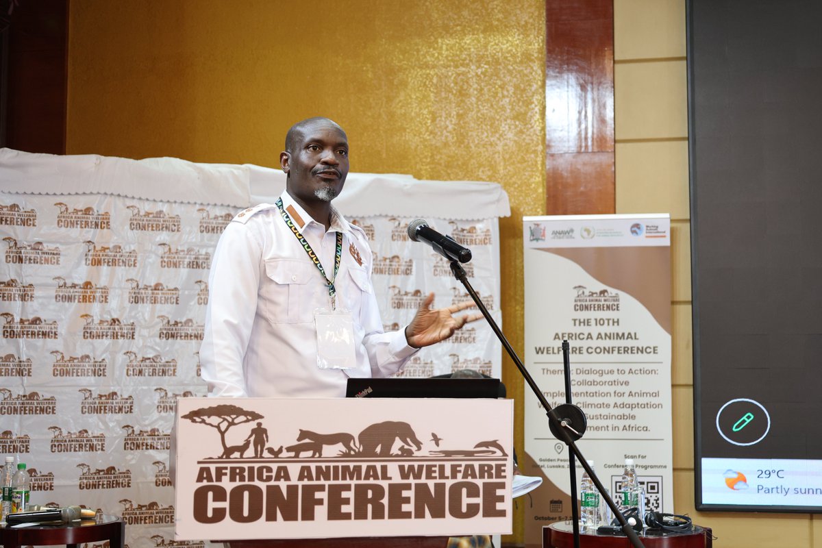 AAWConference's tweet photo. Solomon Onyango, Donkey Sanctuary opened the afternoon session with a talk on the Contribution of Donkeys to Human Wellbeing in Africa.

#AAWC2026 #AAWCZambia #AnimalWelfare #ClimateAction #SustainableDevelopment #AAWCLusaka https://t.co/zoxCvjNq4j